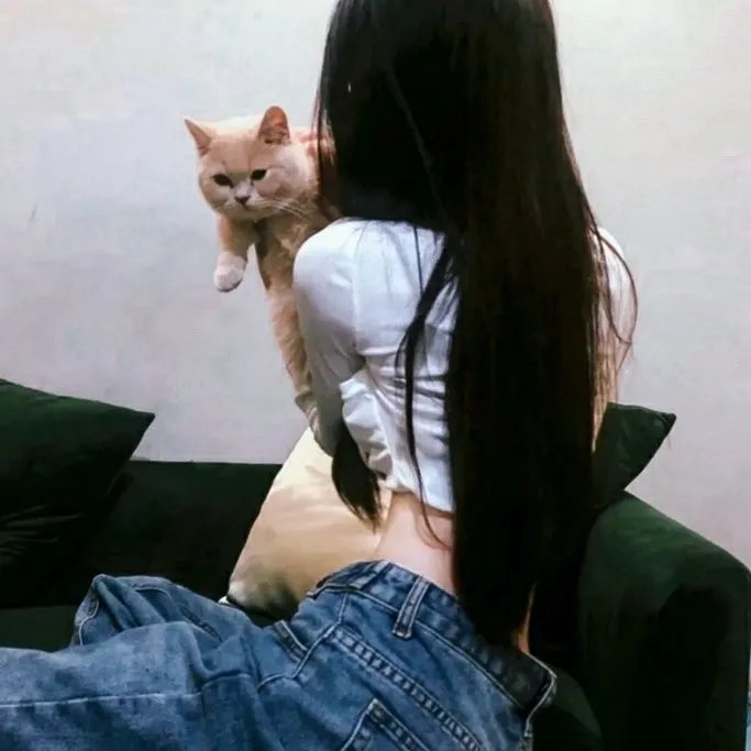 肥佬教授